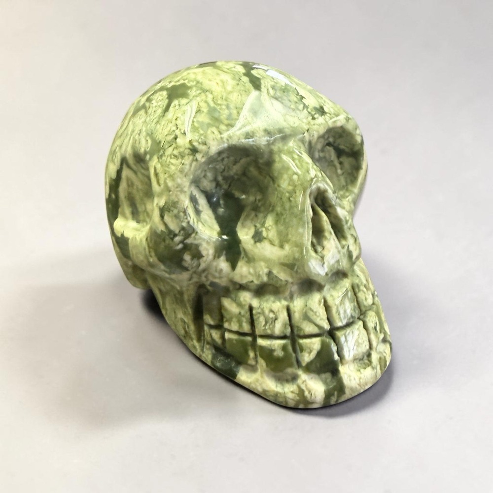 Tree Agate Skull Carving 1 3/4" T x 2.5" W Crystal Figurine Decor Healing